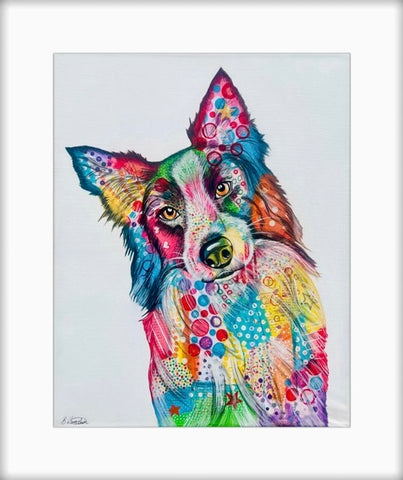 Border Collie Limited edition print