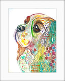 Cavalier King Charles