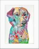 Golden Retriever Dog Art