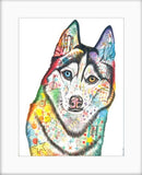 Husky