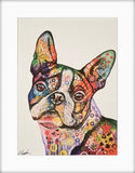 Colourful Boston Terrier Dog Art Print, from Tallulah Blue Design.