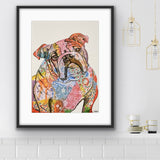 British bulldog colourful dog print, in white mount, from Tallulah Blue Design.