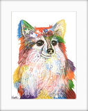 Long Haired Chihuahua mounted print, from Tallulah Blue Design.