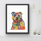 Staffordshire Bull Terrier Dog Art Print from Tallulah Blue design.