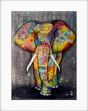 Colourful Elephant Art