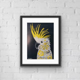 Cockatoo / Cockatiel Art