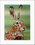 Woodland Hare
