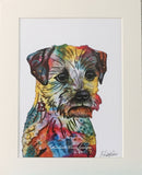 Border Terrier Mounted Art Print. Shop at Tallulah Blue Design.